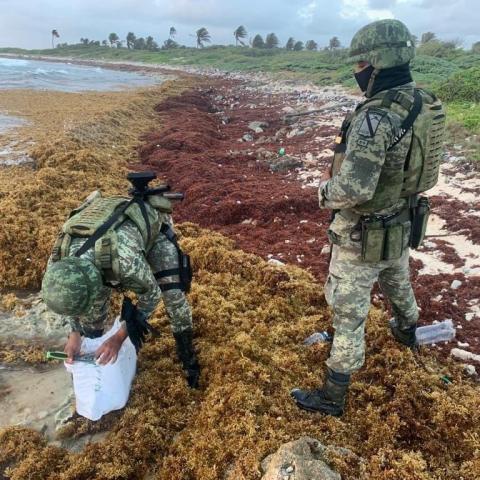 Militares hallan 20 kilos de cocaína entre sargazo