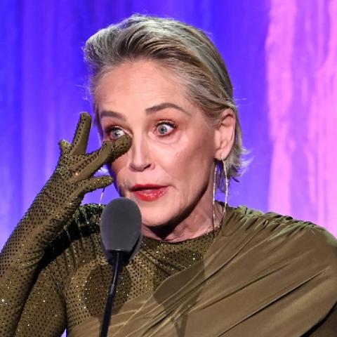 Sharon Stone compartió que en un evento que perdió la mitad de su fortuna 