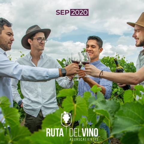 Ruta del vino