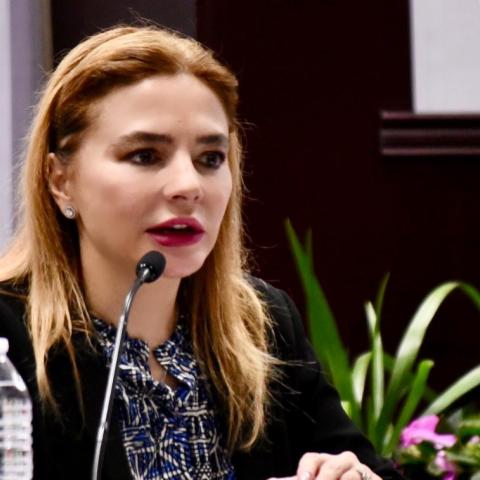 TEPJF perfila ratificar la exclusión de Carla Humphrey para la presidencia del INE