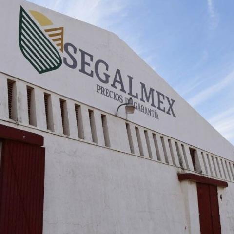Detiene la FGR a exdirector jurídico de la Segalmex: MCCI