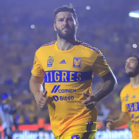 GIGNAC TIGRES