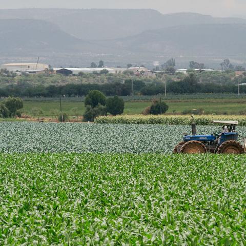 Asientos, Jesús María y Calvillo: los municipios del interior que más extraen agua del subsuelo