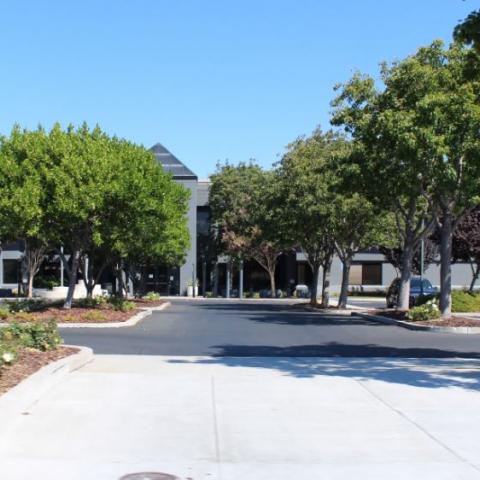 Silicon Valley Bank