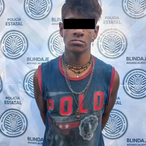 distribuidor