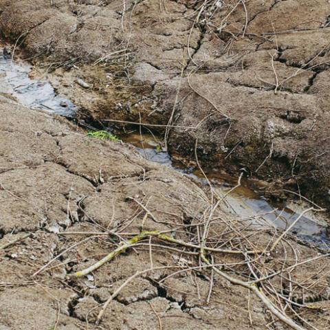 Estrés hídrico es más preocupante que la concesión del agua, apuntan expertos