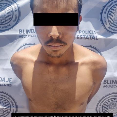 distribuidor