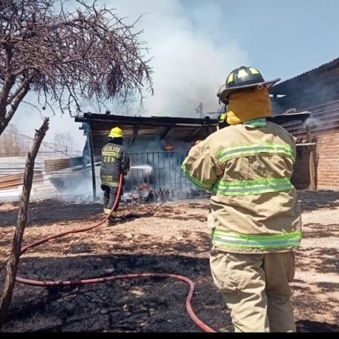 Incendios forestales 