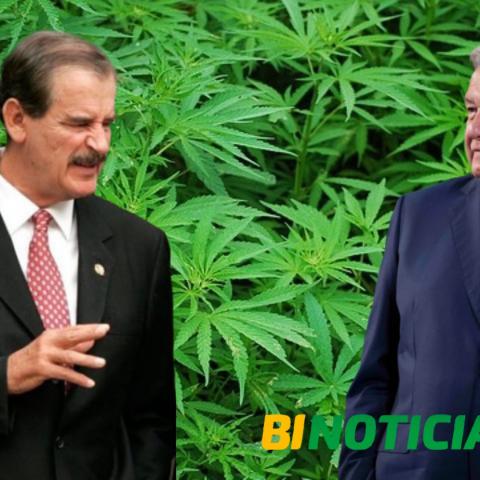 "Vender marihuana no es como poner una fonda", opina AMLO sobre negocios de Fox