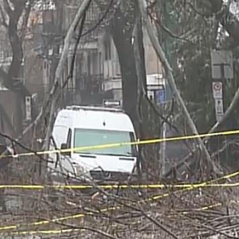 Caos tras la tormenta 