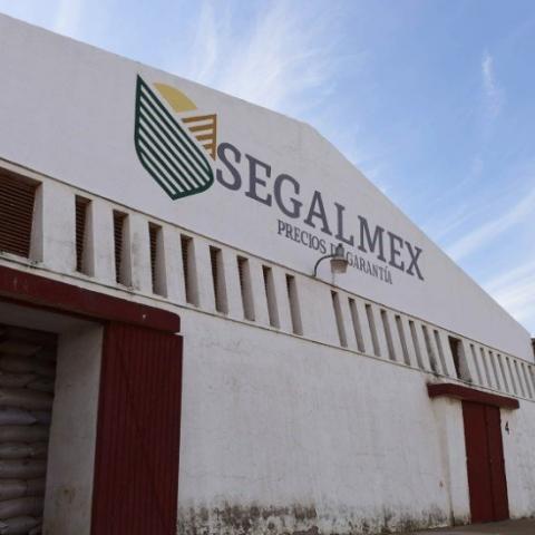 Interpol emite ficha roja para buscar y detener a exdirector de Segalmex