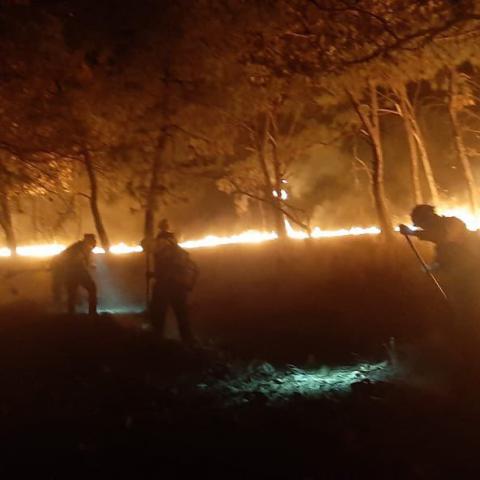 Activan alerta atmosférica para Guadalajara y Zapopan ante incendio en Bosque La Primavera