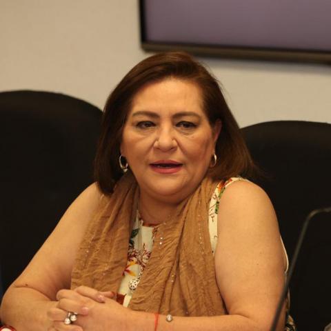 Guadalupe Taddei insta a la estructura del INE a estar abierta a nuevos proyectos