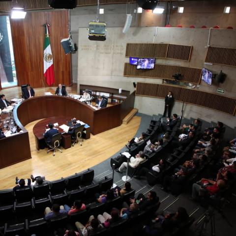 Tribunal Electoral aprueba reconocimiento de identidad de género no binario en credencial para votar