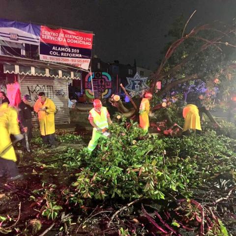 Fuertes lluvias en Oaxaca dejan zonas inundadas, sin luz y árboles caídos