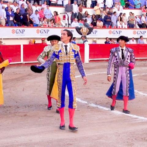 Solitaria oreja para Armillita 