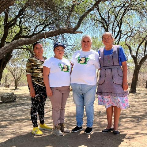 "Es nuestro pulmón y nuestra caja de agua": mujeres luchan por proteger al Bosque de Cobos