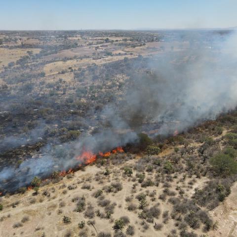 Más de 30 incendios se han registrado en Bosque de Cobos