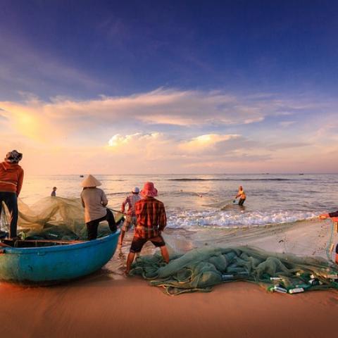 4 de cada 10 pescados que se consumen en México provienen de la ilegalidad