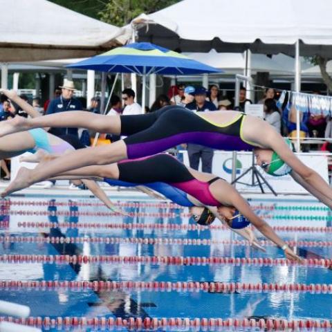 Ya tenemos representantes en la disciplina de natación 