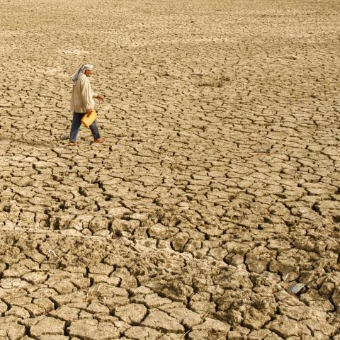 Últimos 8 años han sido los más calurosos de la historia