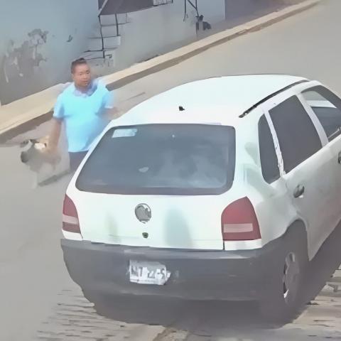 [Video] Hombre lanza a perro a un cazo con aceite hirviendo; le causa la muerte