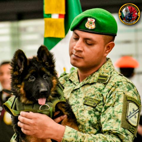 El Ejército Mexicano presenta a Arkadas, sucesor de Proteo