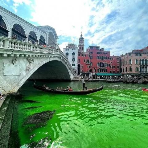 El Gran Canal de Venecia se tiñe de verde fosforescente