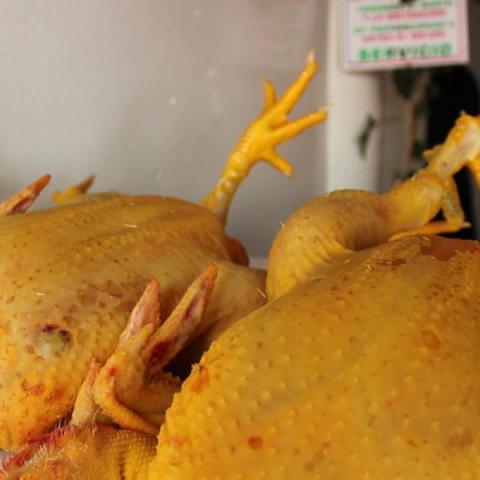 Precio de pollo y huevo debería mantenerse estable en Aguascalientes: productores 