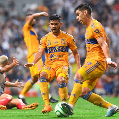 TIGRES A LA FINAL