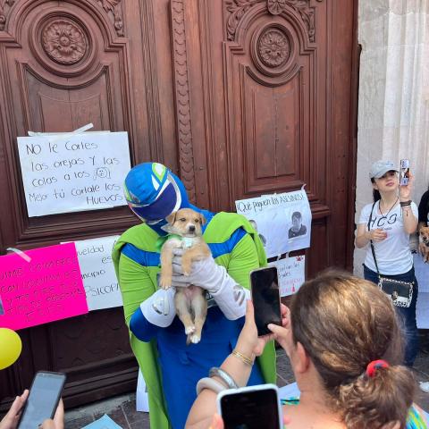 Manifestantes piden mayores castigos para quienes torturan animales