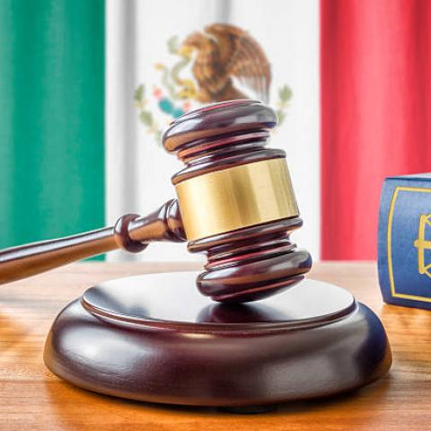 Queda aprobada  reforma de reducción de edad mínima para cargos públicos en México