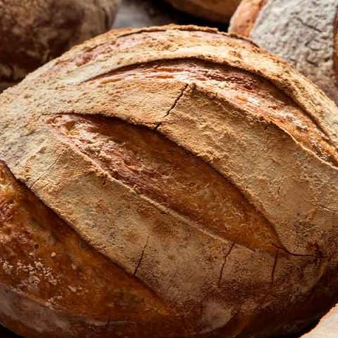 Masa madre y harinas integrales ganan terreno en el consumo local de pan 