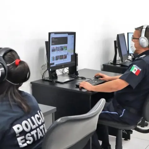 Policía cibernético 