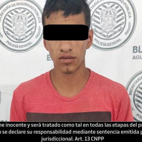 Distribuidor