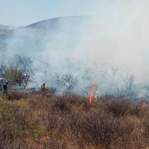 Incendios forestales 