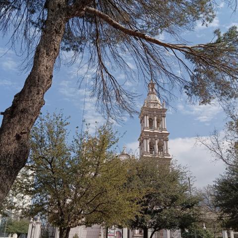 Muere adulto mayor durante protesta a favor de migrantes en la Catedral de Monterrey