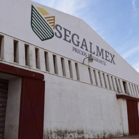 Exdirector comercial de Segalmex es detenido por desfalco millonario