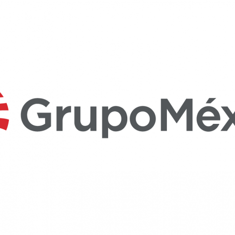 Grupo México 