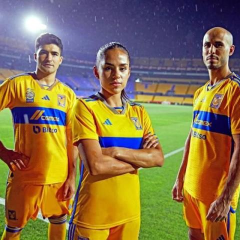 NUEVO JERSEY TIGRES