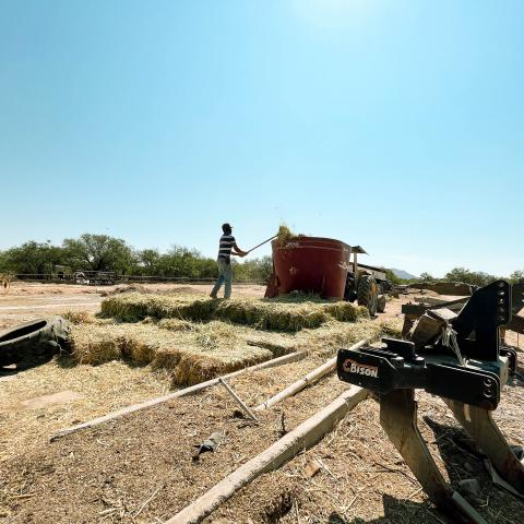 Crisis en el campo de Aguascalientes: así se vive la sequía