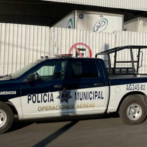 tarimas