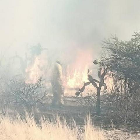 Más de 20 incendios forestales se han registrado en Aguascalientes en lo que va del año