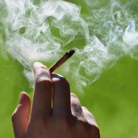 Senado de Colombia rechaza la legalización del uso recreativo de marihuana 