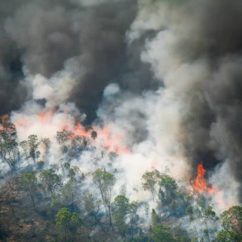 México enviará ayuda a Canadá por incendios forestales