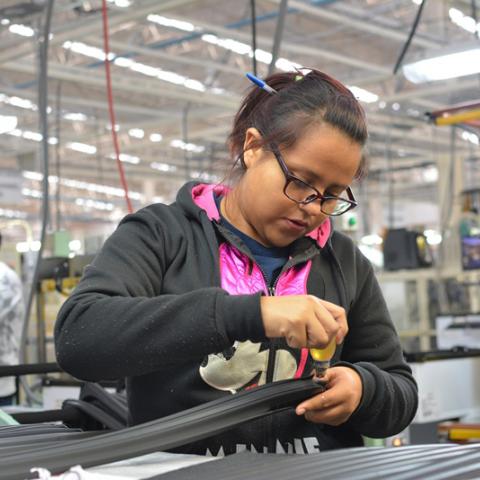 Actividad económica mexicana creció 2.5%