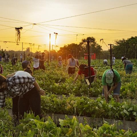 Se intoxican 40 jornaleros en Pabellón de Arteaga