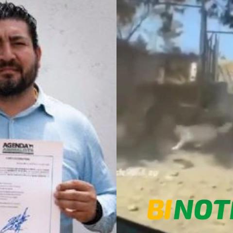 Excandidato del Verde Ecologista se graba matando a un perrito