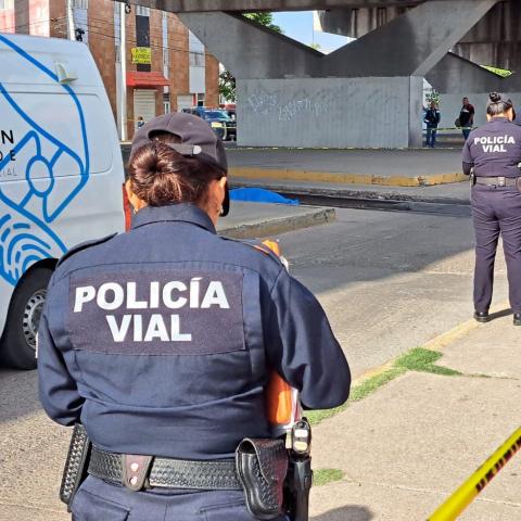 La mujer de 67 años fue golpeada con una saliente de uno de los vagones y eso le costó la vida