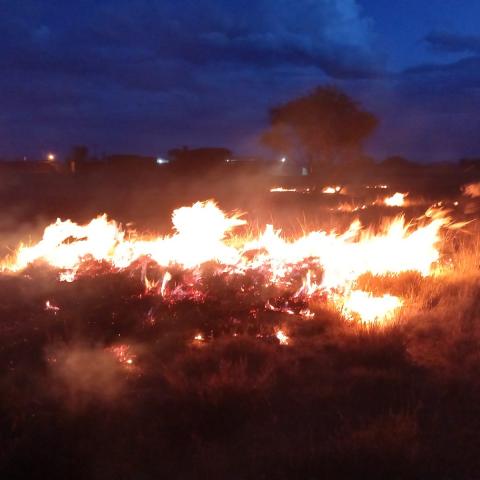 incendio